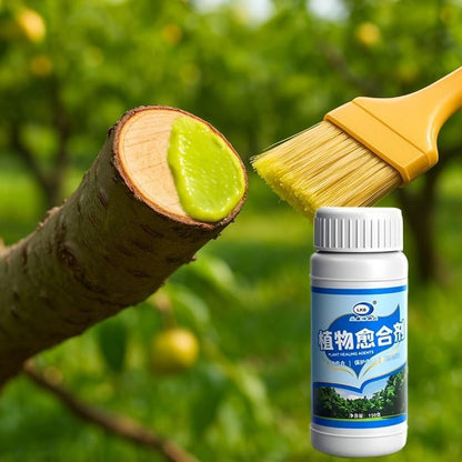 Tree Wound Sealer Bonsai Cut Cream for Trees Plant - Plant Healing Agent 100gm